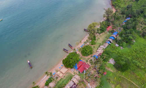 High angle view of plants on beach