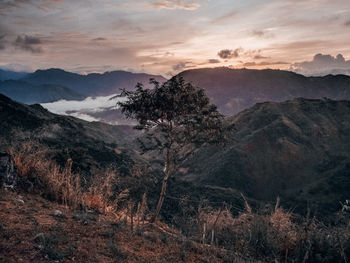 Scenic view of landscape against sky during sunset