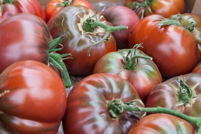 Close-up of red tomatoes