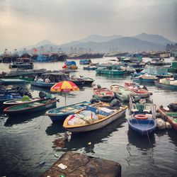 Boats in harbor