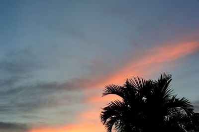 Low angle view of palm tree against sky during sunset