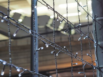 Close-up of wet metal fence during rainy season