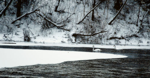 Scenic view of snow covered landscape