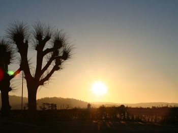 Silhouette trees against sky during sunset