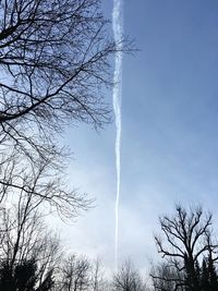 Low angle view of bare trees against blue sky