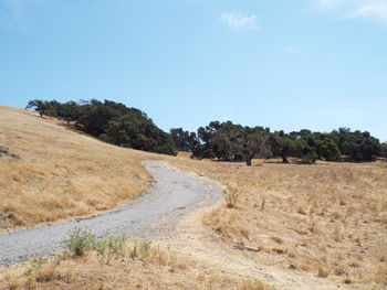 Scenic view of road amidst trees against sky