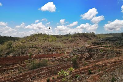 Scenic view of agricultural field against sky