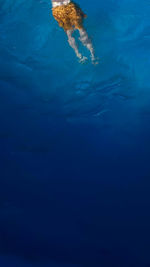 High angle view of man swimming in sea