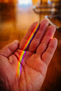 Close-up of person holding multi colored hand