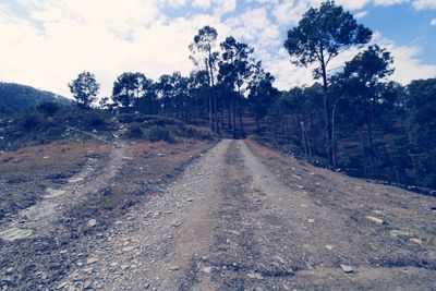 Road amidst trees against sky