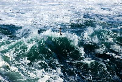 High angle view of people on sea shore