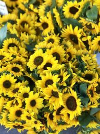 High angle view of yellow flowering plants