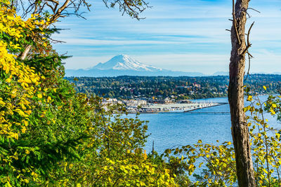 A view of mount rainier and des moines marina in autumn.