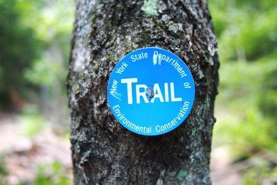 Close-up of warning sign on tree trunk