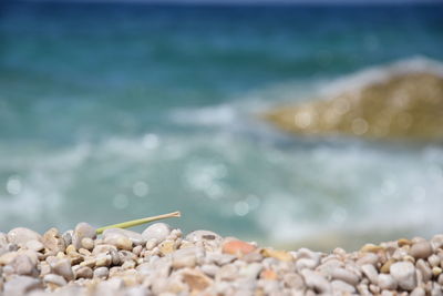 Close-up of pebbles on beach