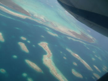 Close-up of jellyfish swimming in sea