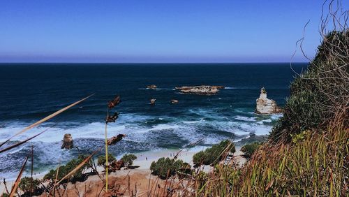 Scenic view of sea against clear sky