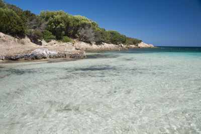 Scenic view of sea against clear blue sky