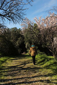 Rear view of woman walking on grass against trees