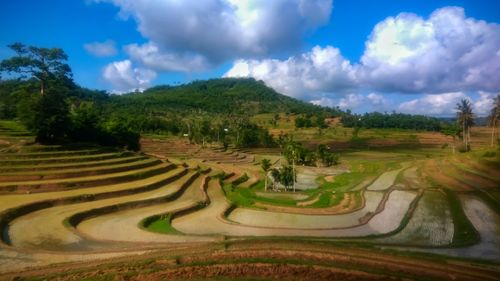 Panoramic view of agricultural field against sky