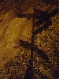 High angle view of shadow on field