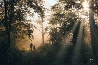 Rear view of woman walking in forest