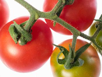Close-up of tomatoes