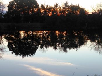 Reflection of trees in lake