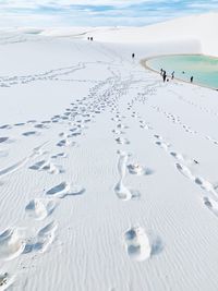 High angle view of footprints on snow covered land