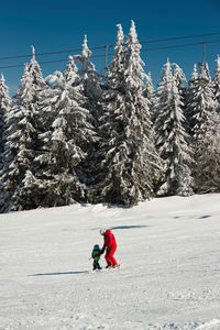 Full length of father and son skiing on snow during winter