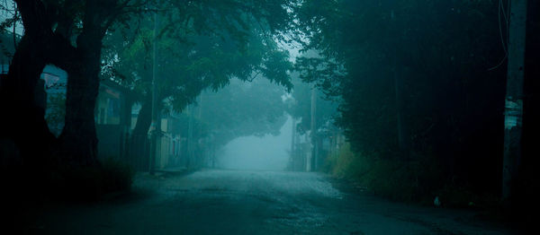 Road amidst trees in forest