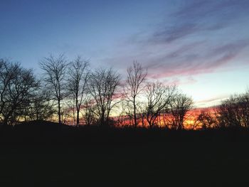 Silhouette of bare trees at sunset