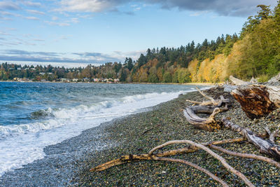 An autumn view of the shoreline at lincoln park in west seattle, washington.