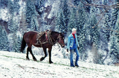 Man riding horse in forest