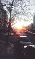 Cars on road in city during sunset