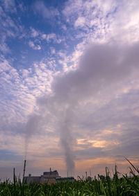 Scenic view of field against sky during sunset