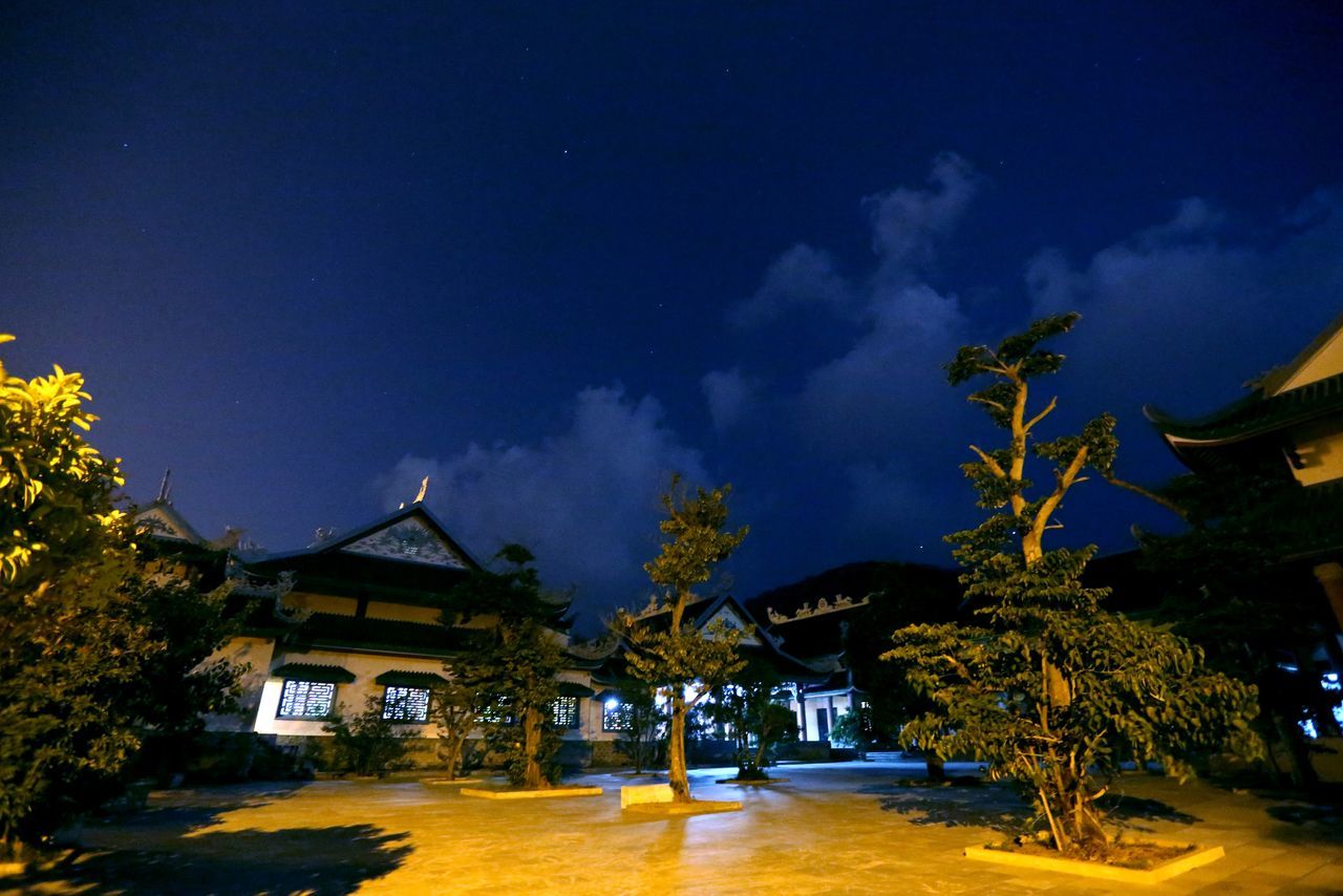 building exterior, architecture, built structure, tree, house, sky, residential building, residential structure, street light, illuminated, street, night, cloud - sky, outdoors, blue, low angle view, road, growth, no people, nature