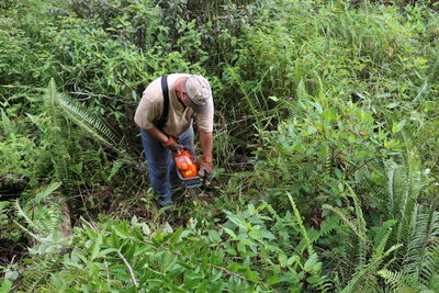 Man working amidst plants on field