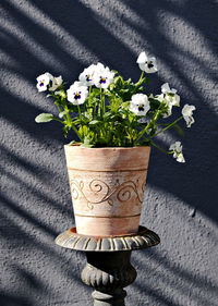 Close-up of flowers on table