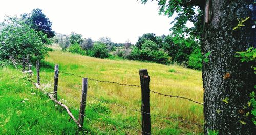 Wooden posts on field against sky