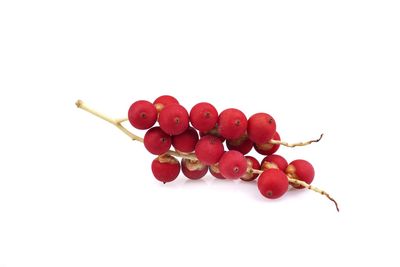 Close-up of red berries against white background