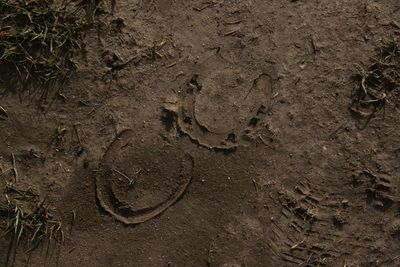 High angle view of footprints on wet road