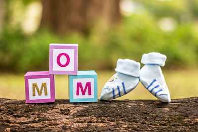 Close-up of stuffed toy on tree