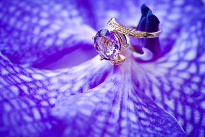 Macro shot of purple flower