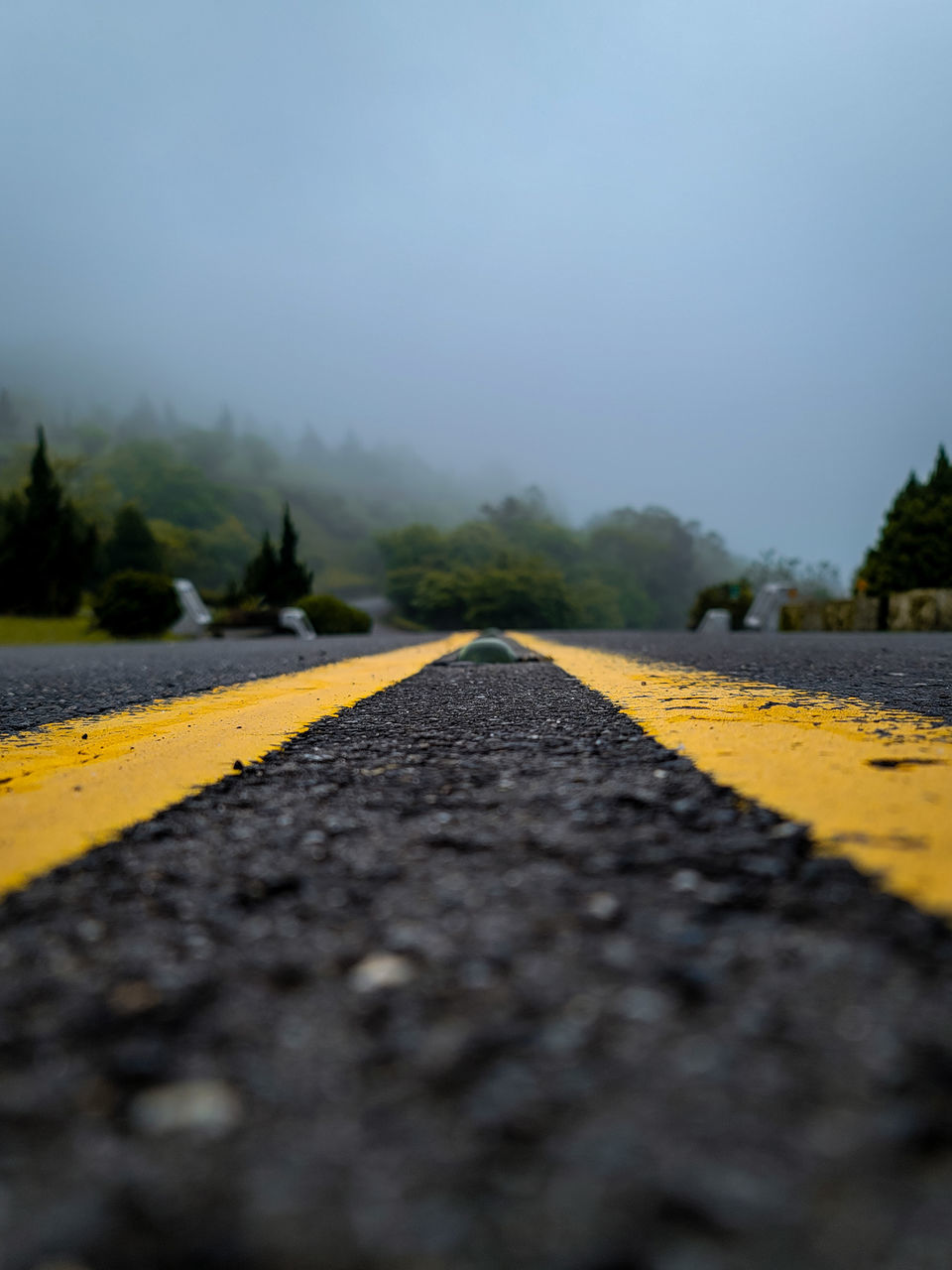 yellow, morning, road, transportation, nature, horizon, sunlight, sky, no people, sign, asphalt, tree, road marking, plant, the way forward, surface level, symbol, environment, fog, leaf, outdoors, day, landscape, marking, field, travel, diminishing perspective, double yellow line, vanishing point, highway, street, city, land, rural area