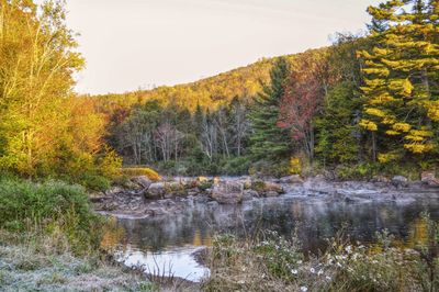 Scenic view of lake in forest against sky during autumn