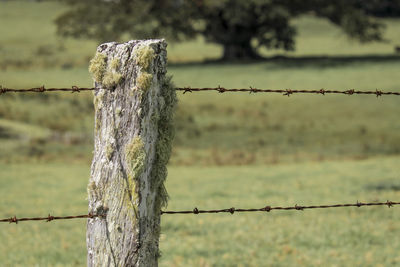 Close-up of barbed wire fence on field