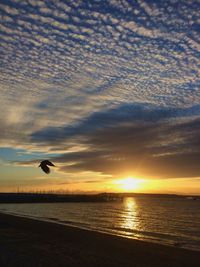 Scenic view of sea at sunset