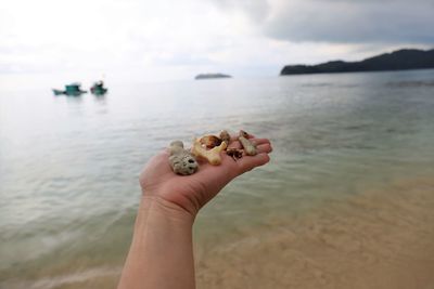 Person hand holding sea water on beach