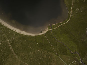 High angle view of plants growing on land